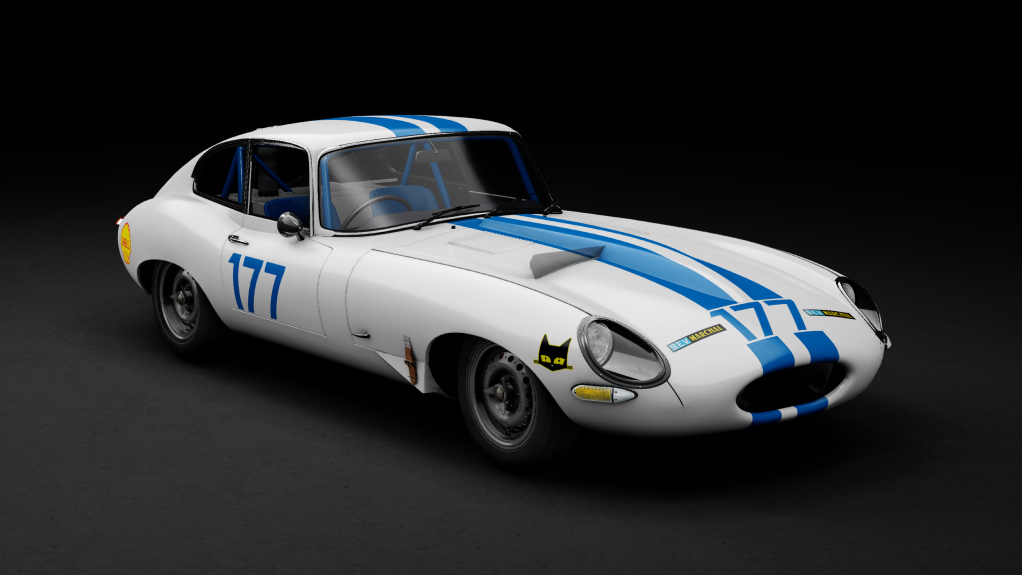 GTC60 Jaguar E-type Le Mans, skin white_177