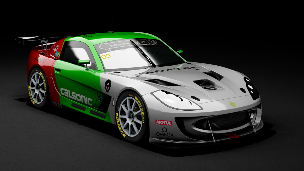 Ginetta GT4 RHD, skin Enduro_Goshu