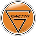 Ginetta GT4 RHD Badge