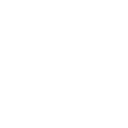Nissan Z (RZ34) GT300 Badge